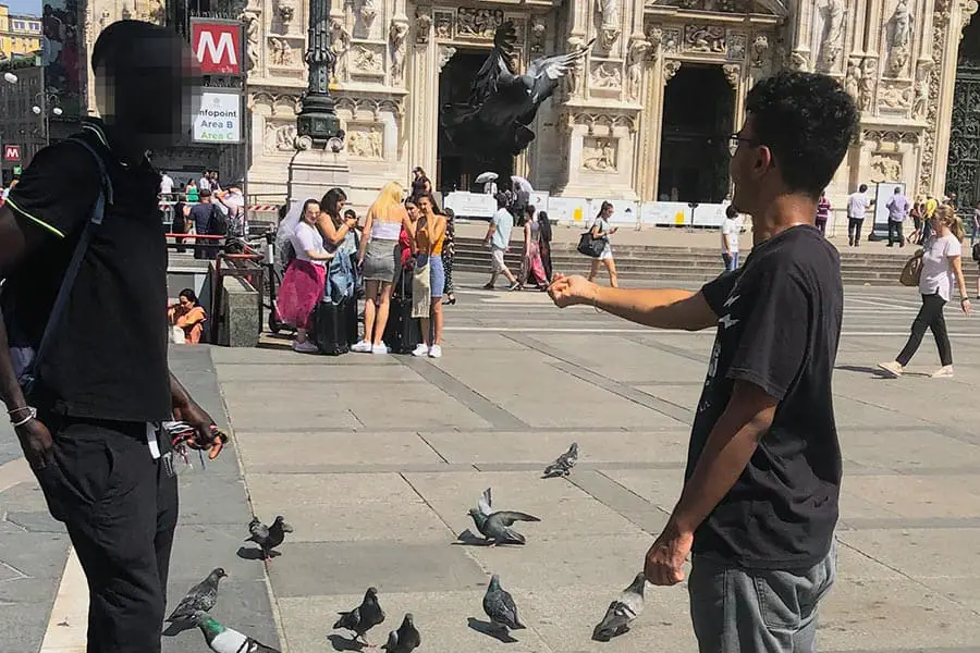 Young men feeding pigeons in the streets of Milan